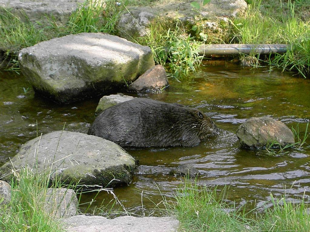 Ferienwohnung Brunner - Haus Am See Nagel Eksteriør bilde
